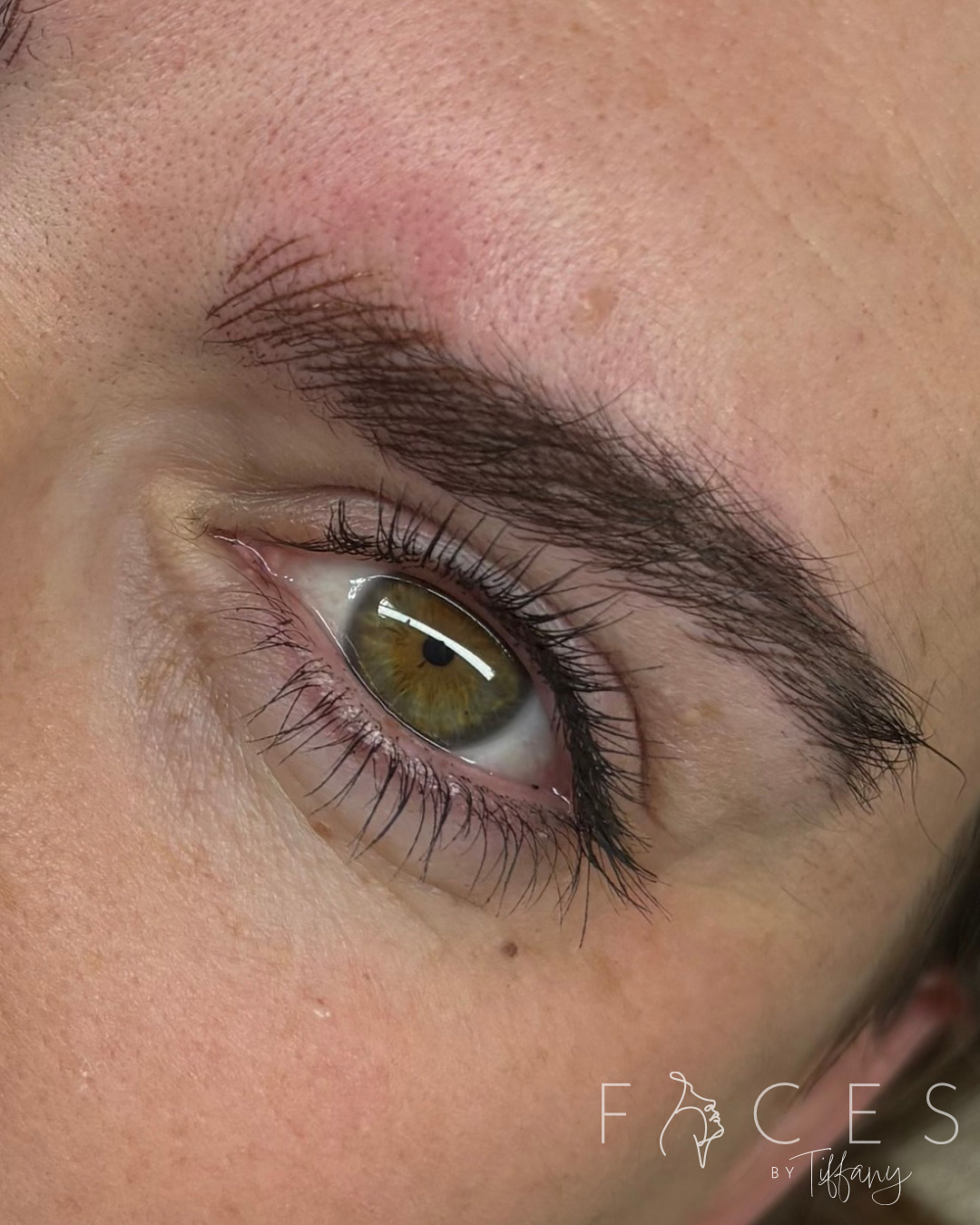 Close-up of eye with beautifully shaped hairstroke eyebrow permanent makeup